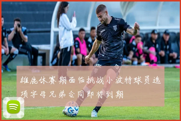 雄鹿休赛期面临挑战小波特球员选项字母兄弟合同即将到期