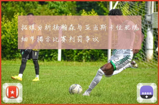 拓媒分析杨瀚森与亚当斯卡位犯规细节揭示比赛判罚争议