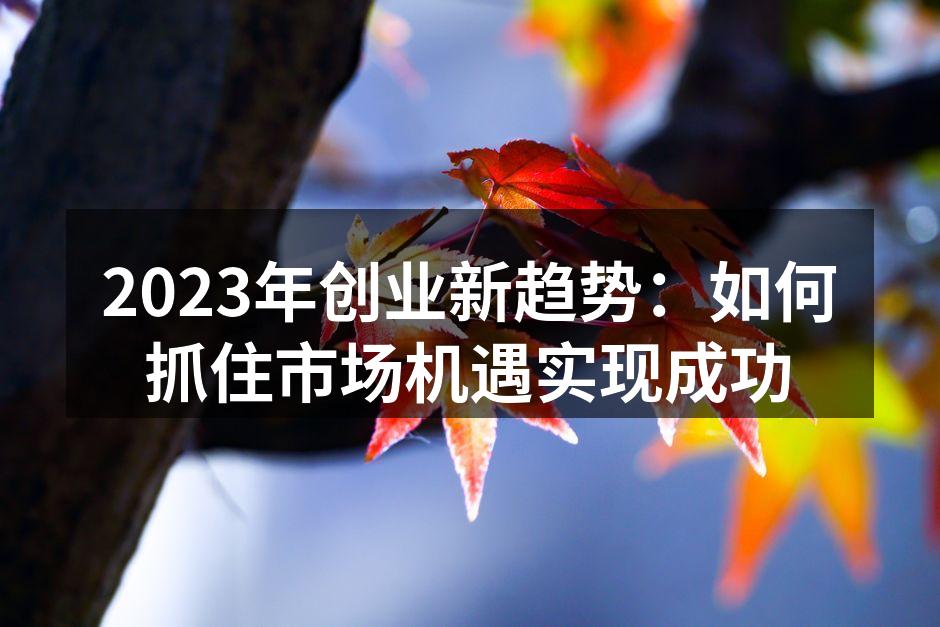 2023年创业新趋势：如何抓住市场机遇实现成功