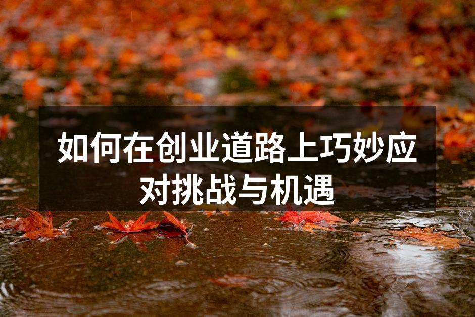 如何在创业道路上巧妙应对挑战与机遇