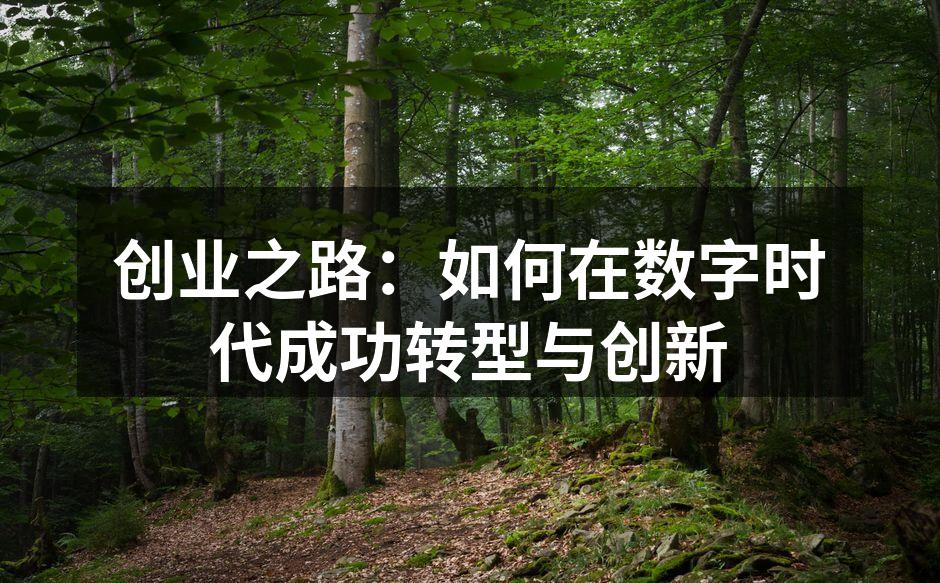 创业之路：如何在数字时代成功转型与创新